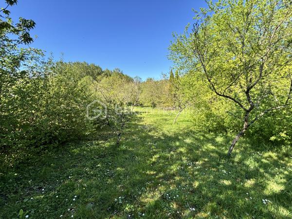 Terrain de loisirs de 2 810 m²