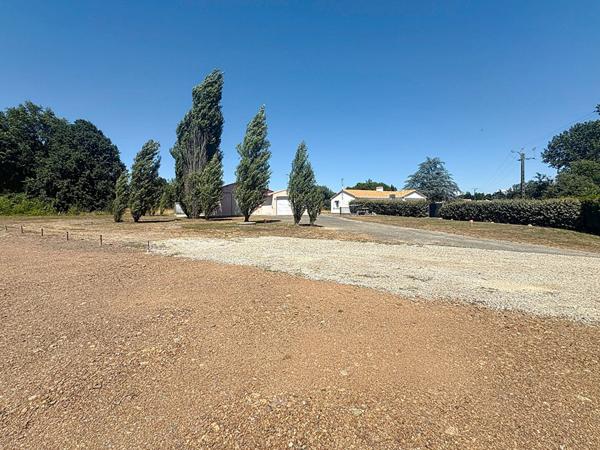 Vente terrain Commequiers : 71 000 € - AJP Immobilier Challans