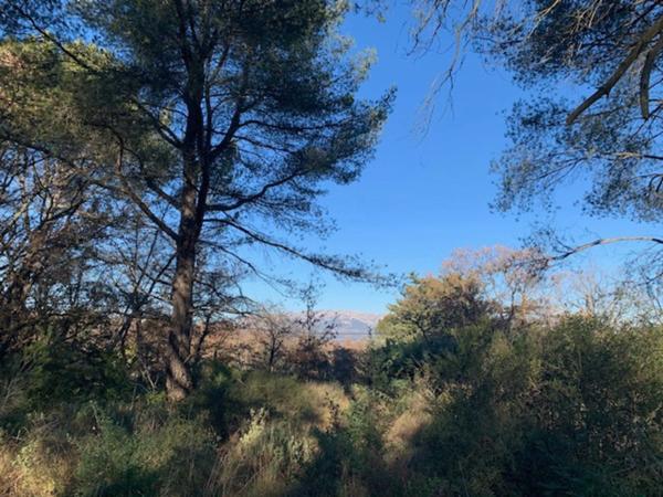 Terrain 1514 m2 à vendre TRETS (13)