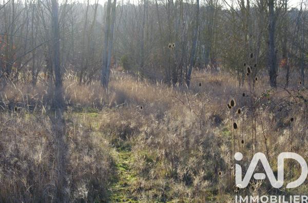 Terrain à vendre 840 m² Maule