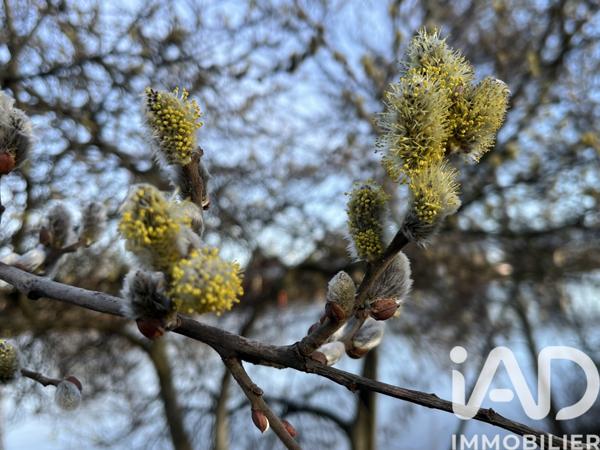 Terrain à vendre 840 m² Maule