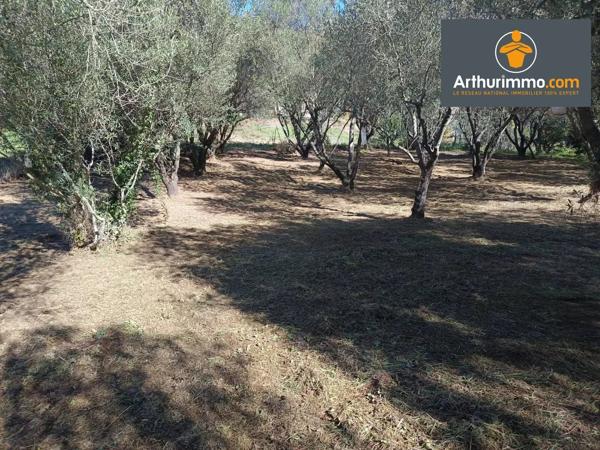 Vente                                                      Terrain
                        
                                         1374 m2                     à Petreto-Bicchisano