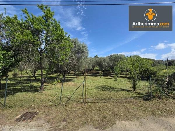 Vente                                                      Terrain
                        
                                         1374 m2                     à Petreto-Bicchisano