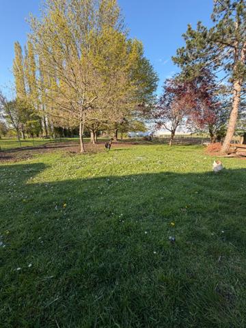 A vendre Longère de caractère, La Bohalle, 20 minutes d'Angers, Terrain, Dépendances, Cachet de l'ancien.