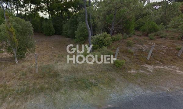 Terrain Saint Hilaire De Riez 1100 m2