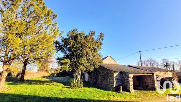Longère 4 pièces de 65 m² à Saint-Étienne-de-Montluc (44360)