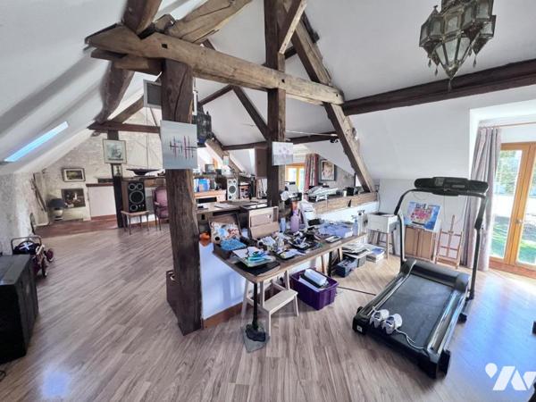 Ensemble immobilier 14 pièces 385 m² Chatillon sur Cher.