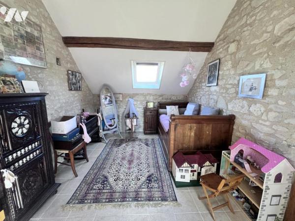 Ensemble immobilier 14 pièces 385 m² Chatillon sur Cher.