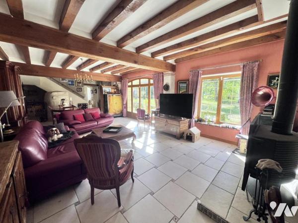 Ensemble immobilier 14 pièces 385 m² Chatillon sur Cher.