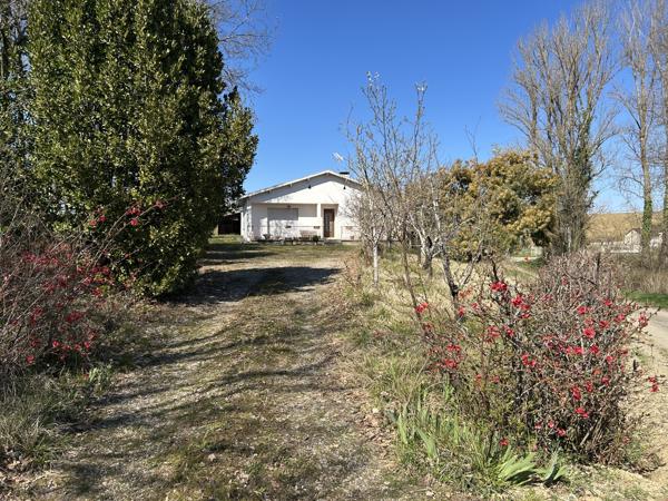 Maison avec dépendance sur grand terrain