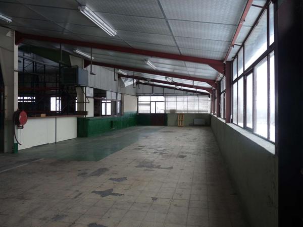 BATIMENT COMMERCIAL D’ENVIRON 2500 M² SURFACE DE VENTE, BUREAUX, SALLE DE REUNIONS, 11000 M² DE TERRAINS 19300