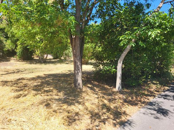 Terrain constructible Digne Les Bains 650m2