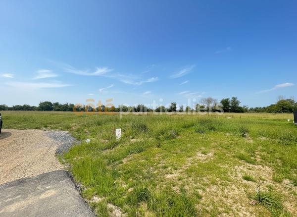 Vente
                Terrain560 m² - TREVIERES (14710)