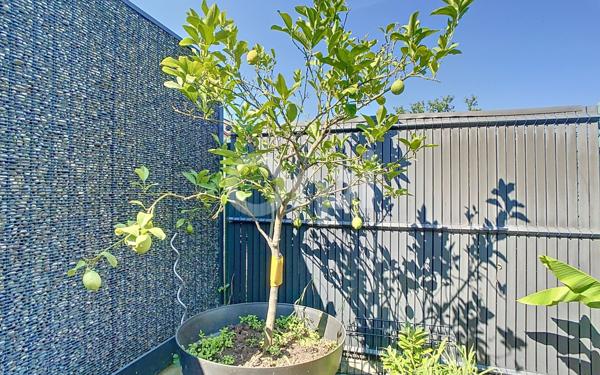 Maison à vendre    5 pièces •  Battenheim