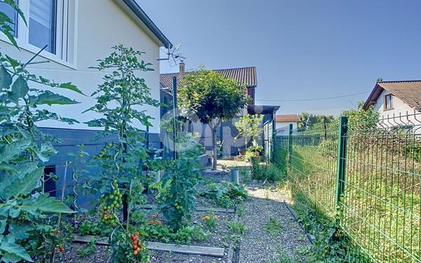 Maison à vendre    5 pièces •  Battenheim