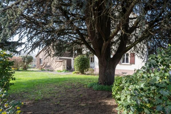 Maison à vendre 7 pièces LAMPERTHEIM (67) à 15 minutes de Strasbourg