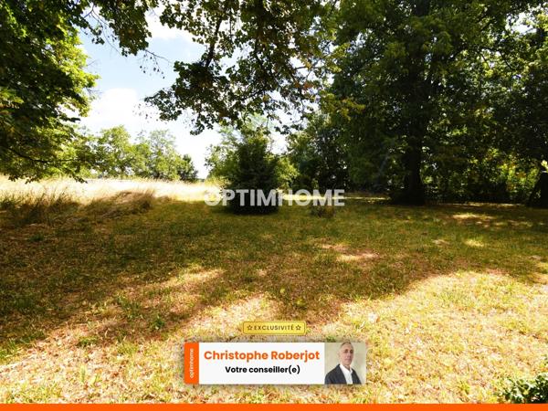Maison + dépendances avec énorme potentiel à Fontaines sur 1 hectare de terrain clos et arboré