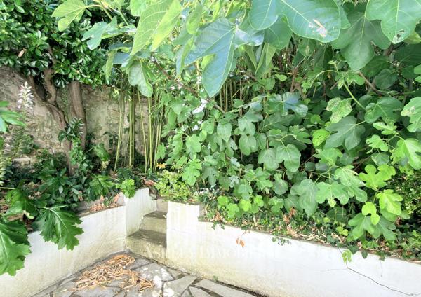 À VENDRE - MAISON DE CARACTÈRE À RAFRAICHIR À LA ROCHELLE - LA GENETTE