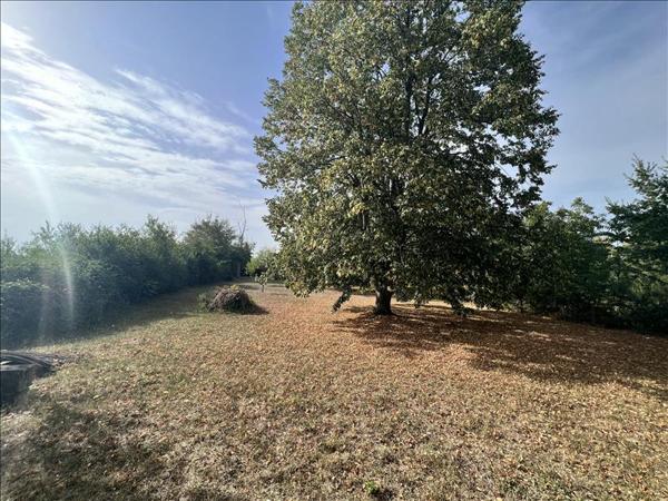 Terrain à vendre |  Saint-Baudel |  2230 m²