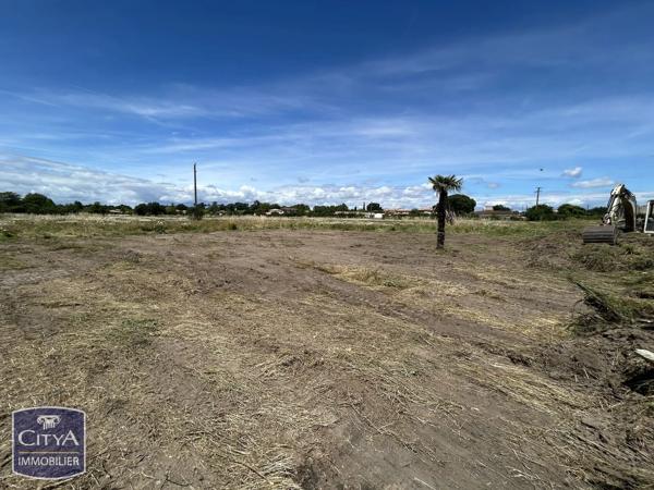 Terrain à vendre Montauban (82000)