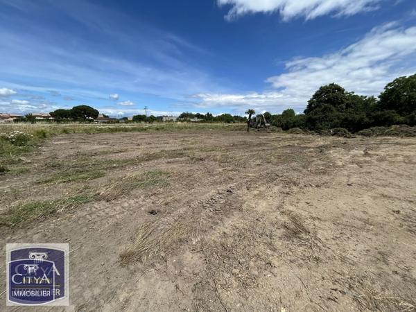 Terrain à vendre Montauban (82000)
