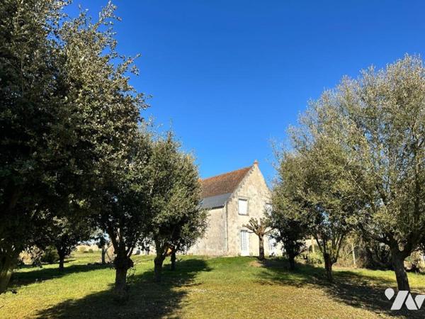 Corps de Ferme avec truffière. Proche Sainte Maure de Touraine