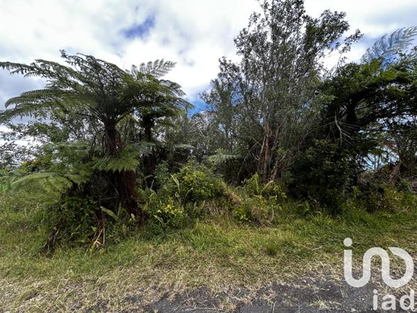 Terrain à vendre 1 137 m² Saint-Joseph