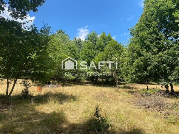 Terrain de loisirs, avec verger et forêt