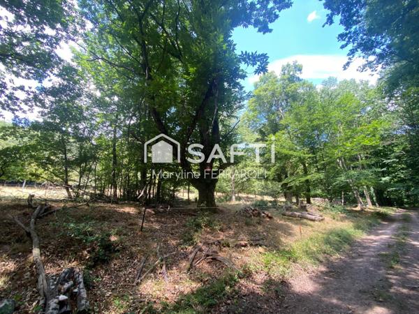 Terrain de loisirs, avec verger et forêt