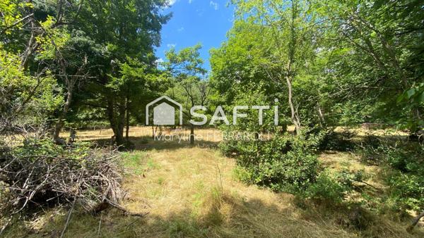 Terrain de loisirs, avec verger et forêt