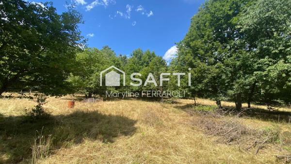 Terrain de loisirs, avec verger et forêt