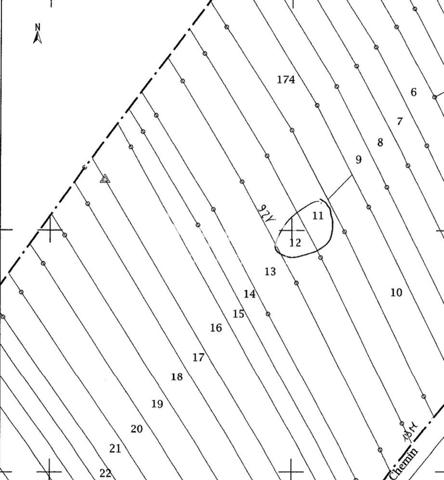 Terrain de loisirs, avec verger et forêt