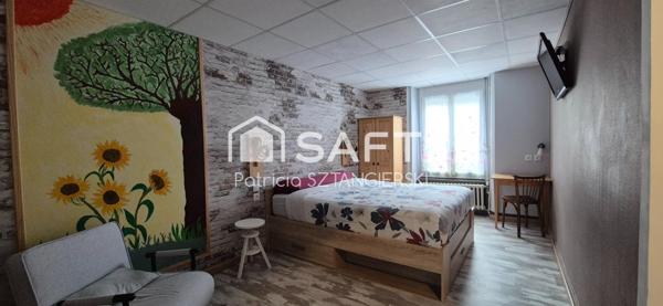 Immeuble de rapport, locations saisonnières, chambres d'hôtes, maison familiale, jardin, 3 garages.