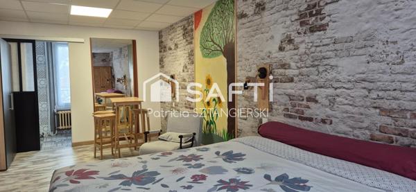 Immeuble de rapport, locations saisonnières, chambres d'hôtes, maison familiale, jardin, 3 garages.