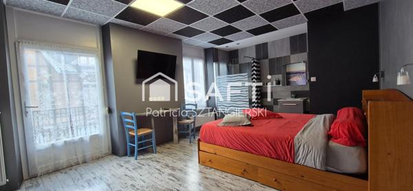 Immeuble de rapport, locations saisonnières, chambres d'hôtes, maison familiale, jardin, 3 garages.