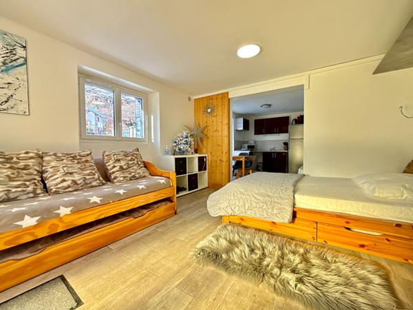 A VENDRE : GRANDE MAISON FAMILIALE AVEC APPARTEMENT LOUÉ ET STUDIO INDÉPENDANT