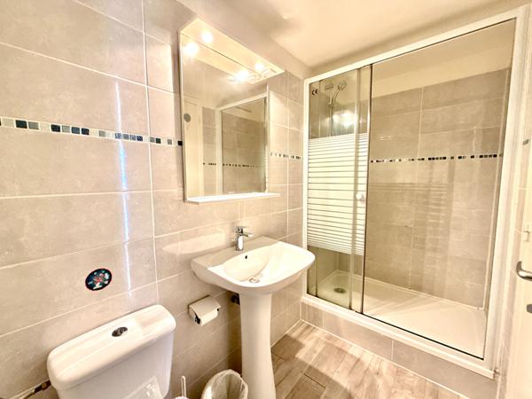 A VENDRE : GRANDE MAISON FAMILIALE AVEC APPARTEMENT LOUÉ ET STUDIO INDÉPENDANT