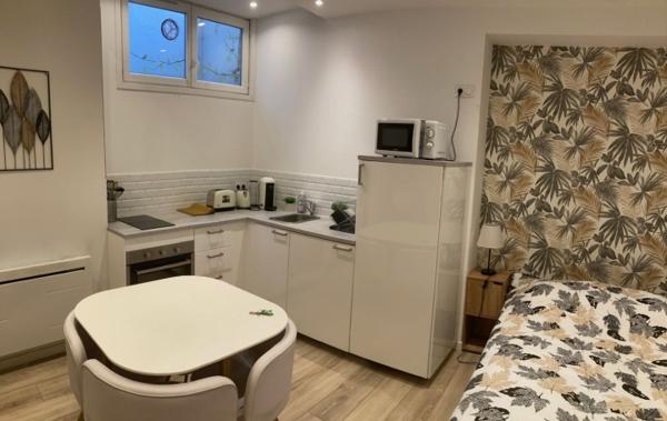 Vente Studio rénové(e) Grenoble