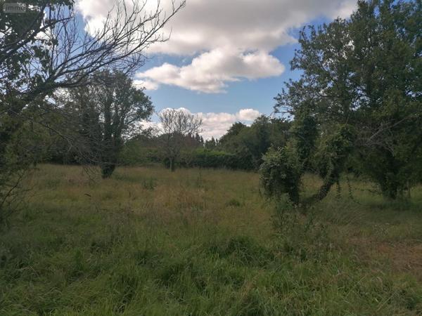 Terrain à Batir à vendre à Cricqueboeuf dans le Calvados (14113), ref : TB130