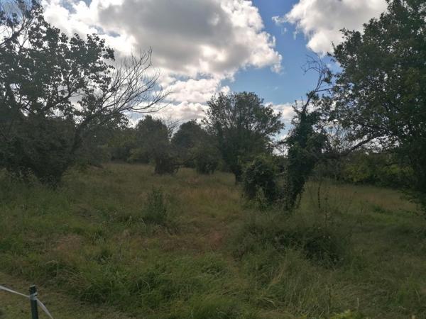 Terrain à Batir à vendre à Cricqueboeuf dans le Calvados (14113), ref : TB130