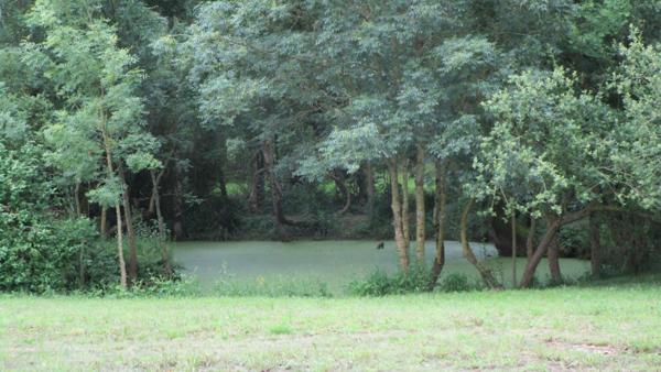 Terrain La Jonchere 676 m2