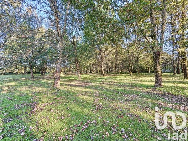 Maison à vendre 9 pièces 243 m² Lempaut