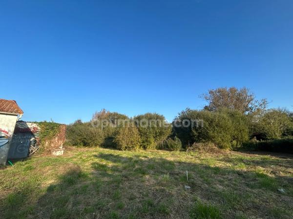 Terrain constructible avec permis purgé à vendre de 13 821,00 m² SAINT GEORGES D'OLERON (17)