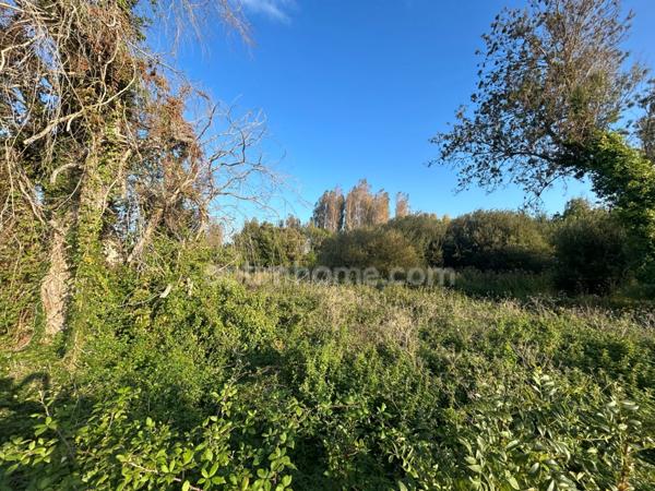 Terrain constructible avec permis purgé à vendre de 13 821,00 m² SAINT GEORGES D'OLERON (17)