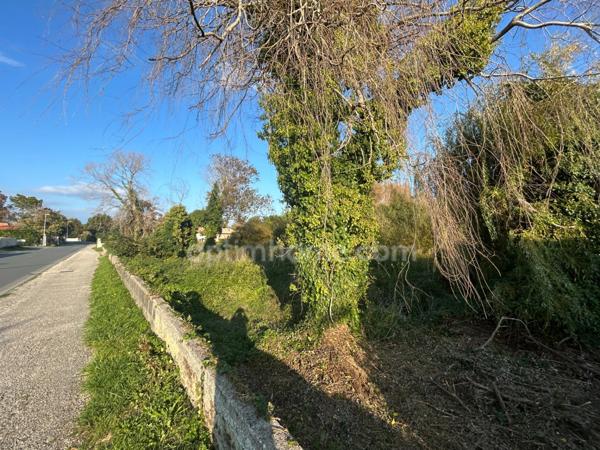 Terrain constructible avec permis purgé à vendre de 13 821,00 m² SAINT GEORGES D'OLERON (17)