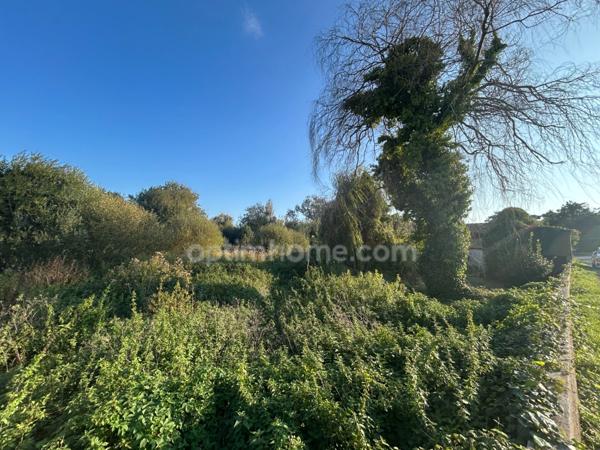 Terrain constructible avec permis purgé à vendre de 13 821,00 m² SAINT GEORGES D'OLERON (17)