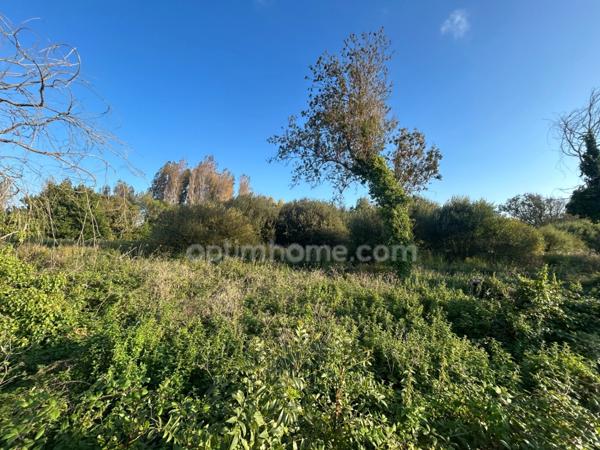 Terrain constructible avec permis purgé à vendre de 13 821,00 m² SAINT GEORGES D'OLERON (17)