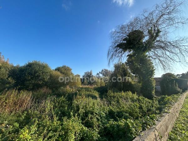 Terrain constructible avec permis purgé à vendre de 13 821,00 m² SAINT GEORGES D'OLERON (17)