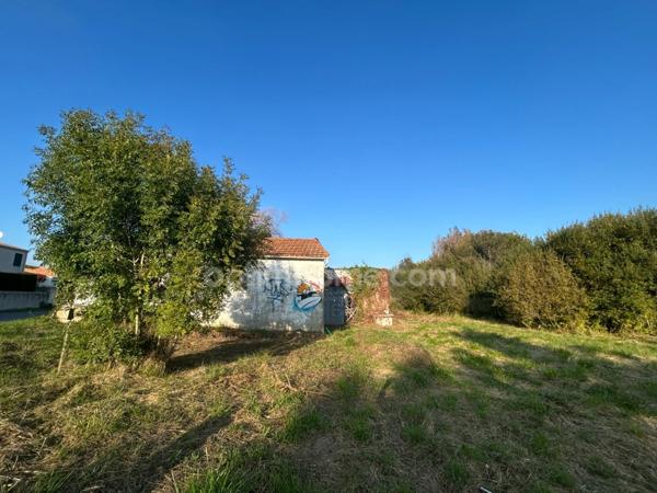 Terrain constructible avec permis purgé à vendre de 13 821,00 m² SAINT GEORGES D'OLERON (17)