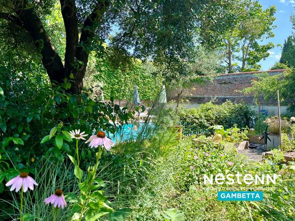 Maison toulousaine, piscine, garage a vendre Montauban 82